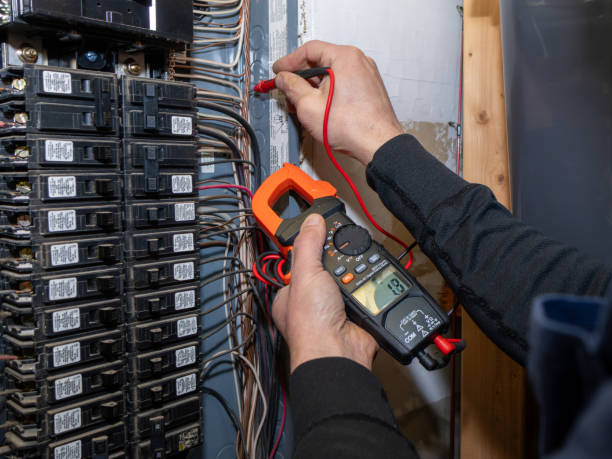 Best Electric Panel Repair  in Union Park, FL